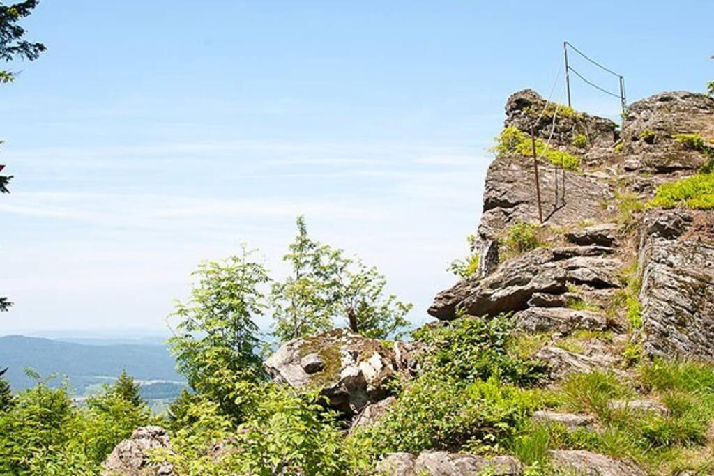 Bayerwald Chalet Kaitersberg Mit Sauna, Sonnenterrasse Und Garten Arnbruck Dış mekan fotoğraf